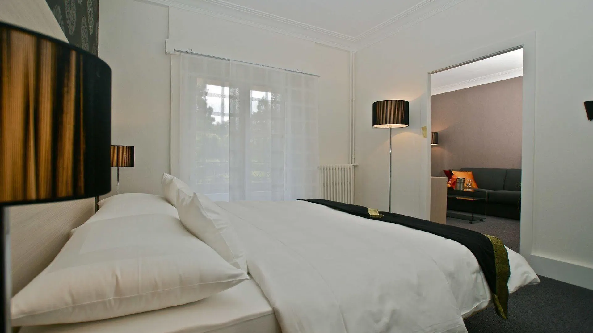 ***  Hotel Mon Repos Ginevra Svizzera